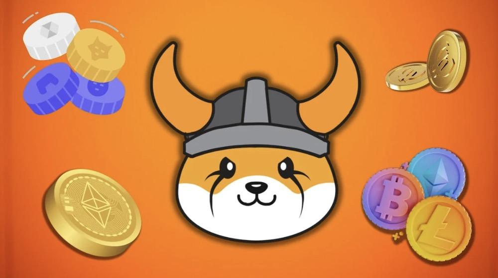 Floki aims to build a vibrant ecosystem for its users